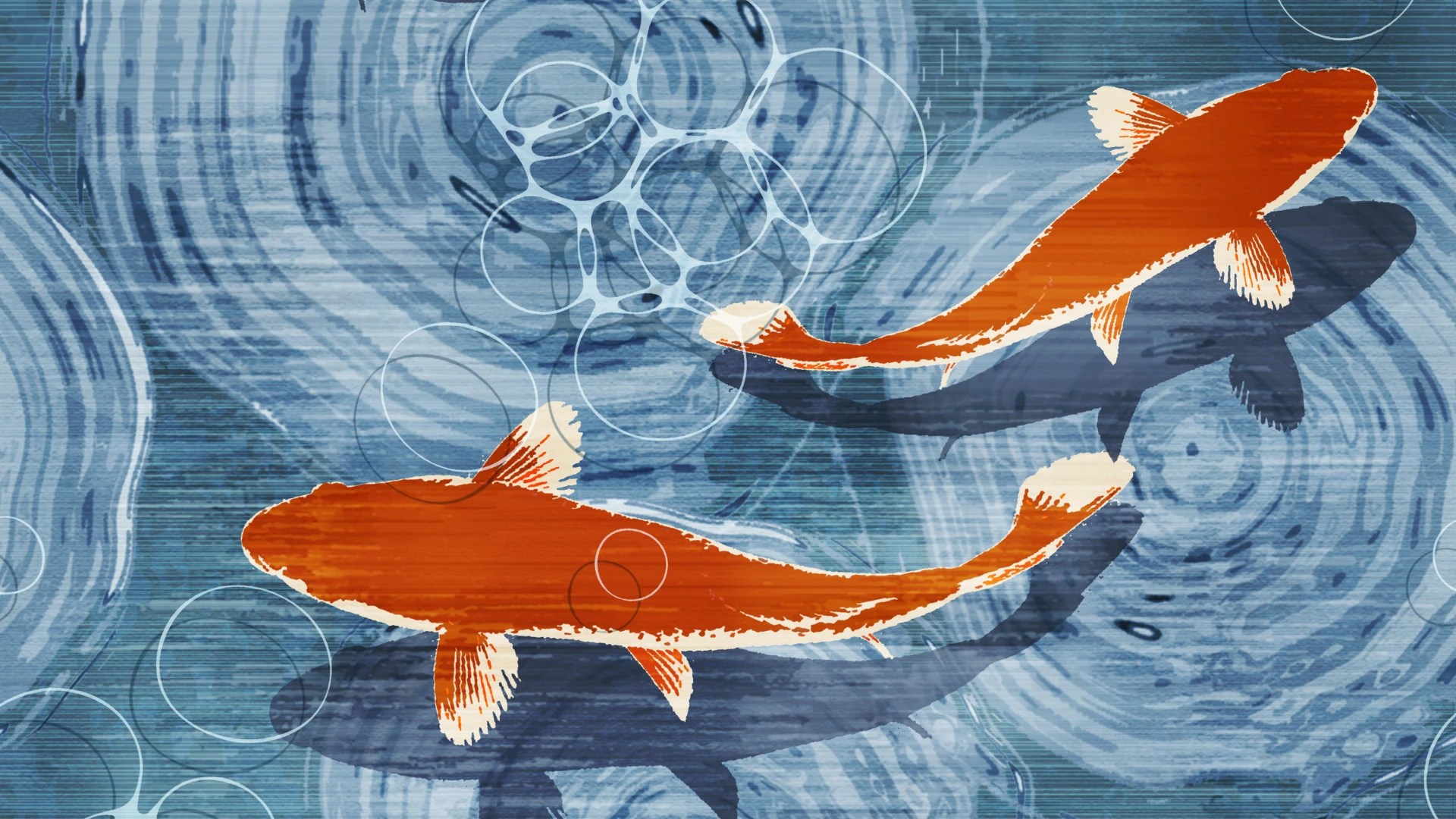 Graphic Design Steelman Partners