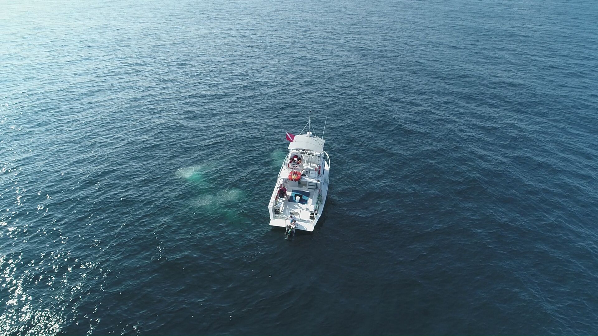 Steel Slinger Dive Charters Panama City Beach Florida