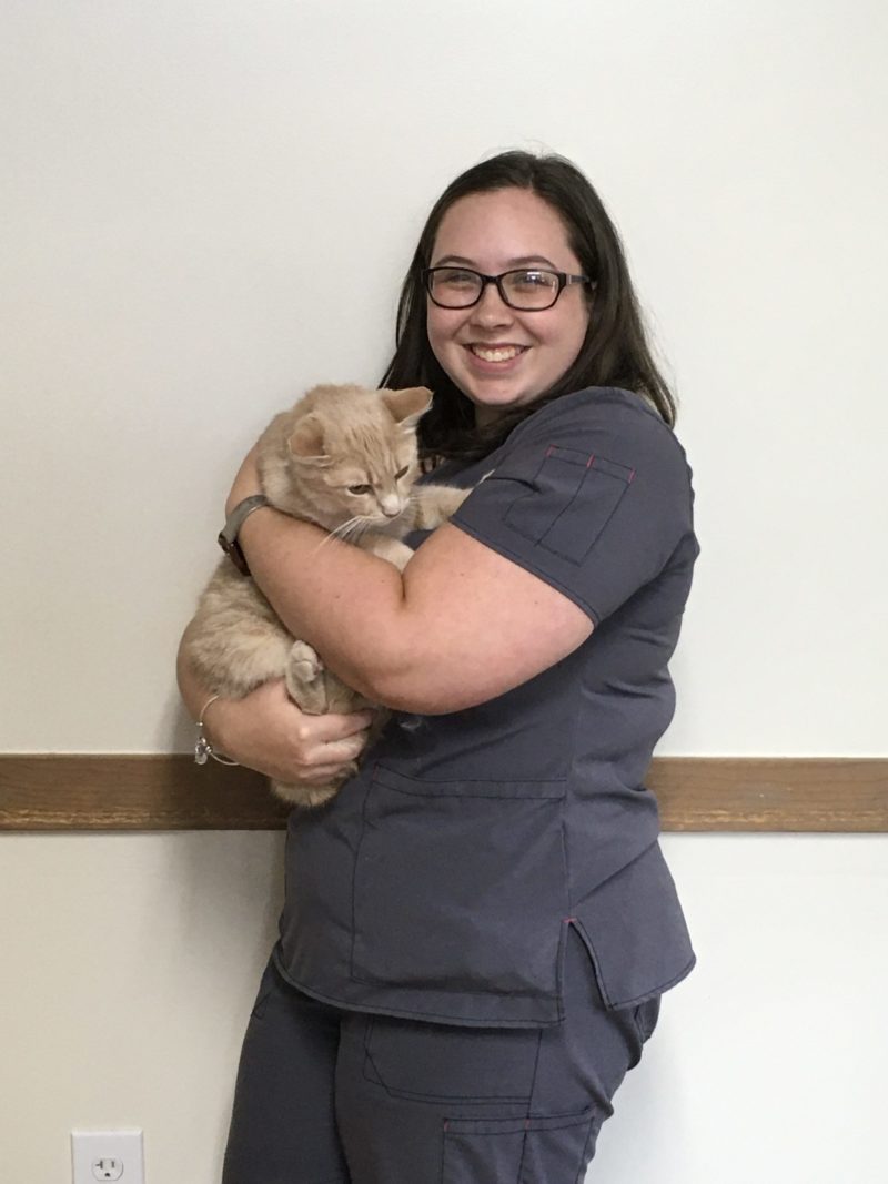 About Us Steel Vet Washington, PA Veterinarian