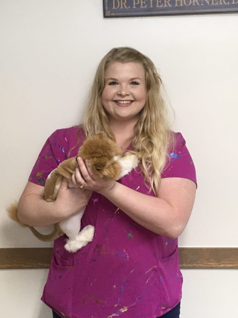 About Us Steel Vet Washington, PA Veterinarian