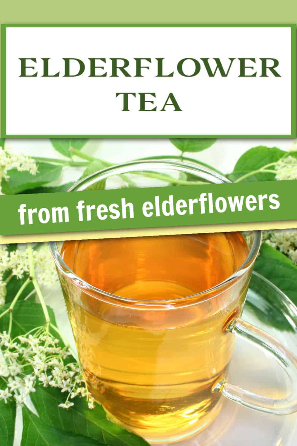 How to Make Elderflower Tea Easy Recipe and Benefits Steeped Street