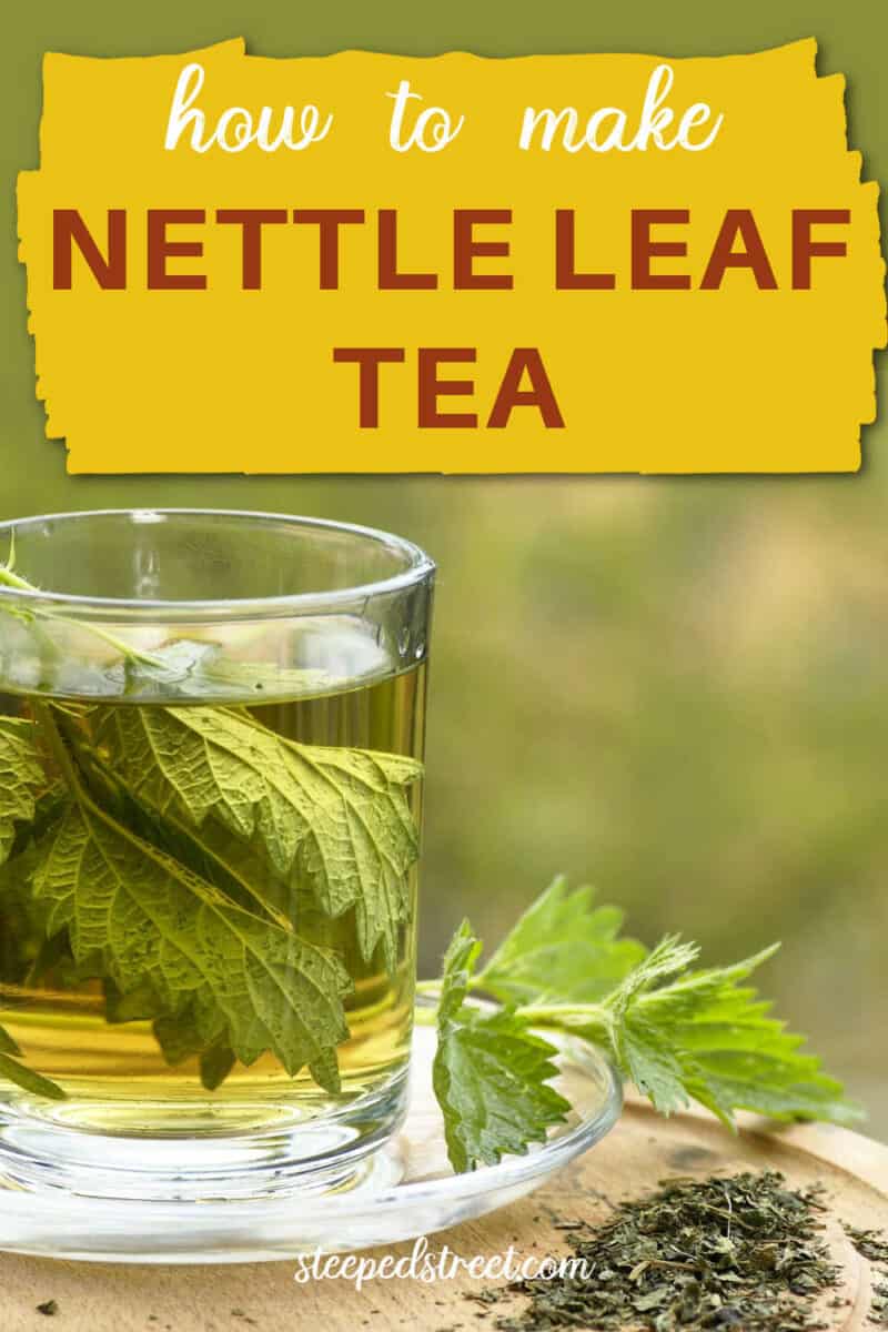 How to Make Iced Stinging Nettle Leaf Tea Steeped Street