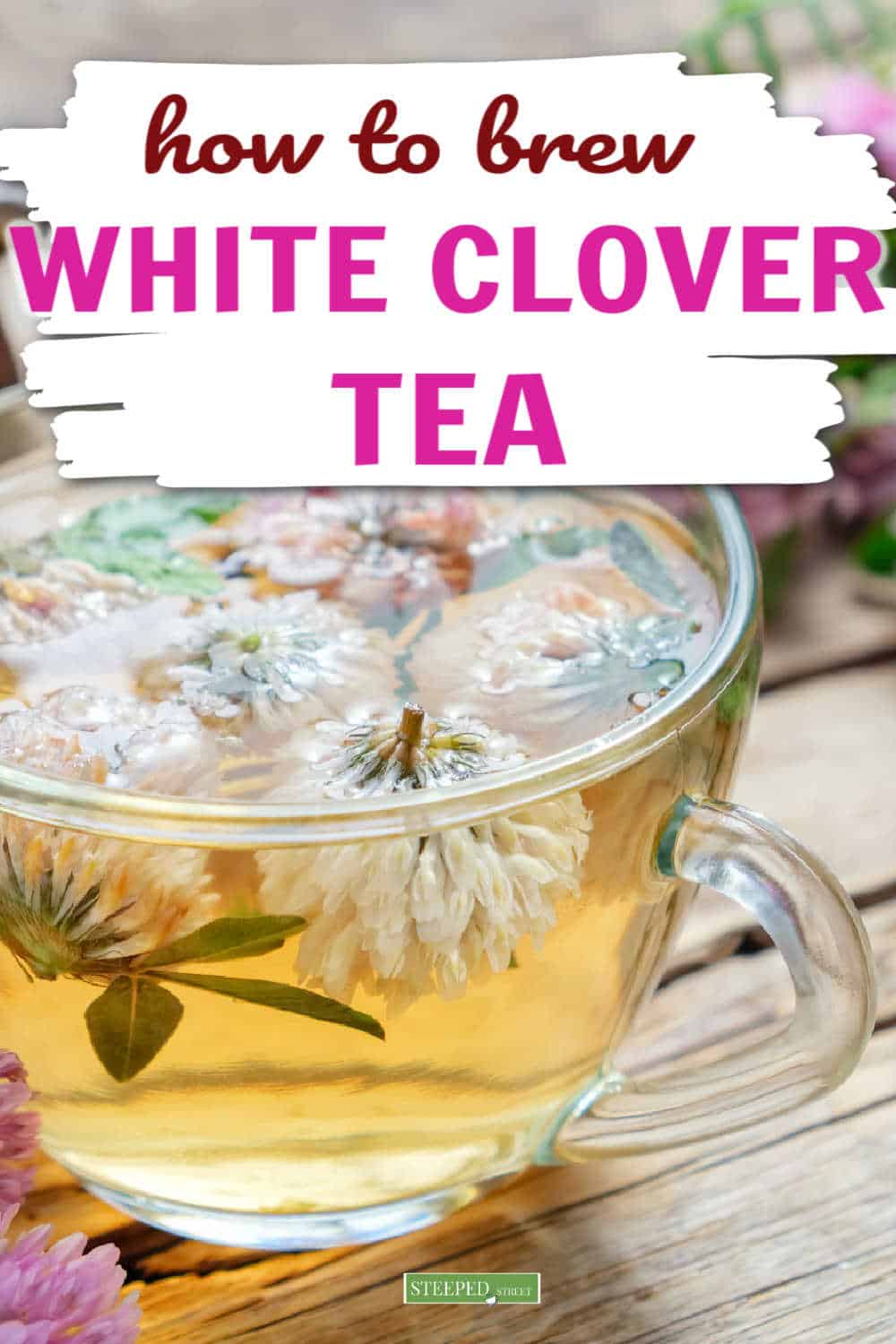 Simple White Clover Tea Recipe and Benefits Steeped Street