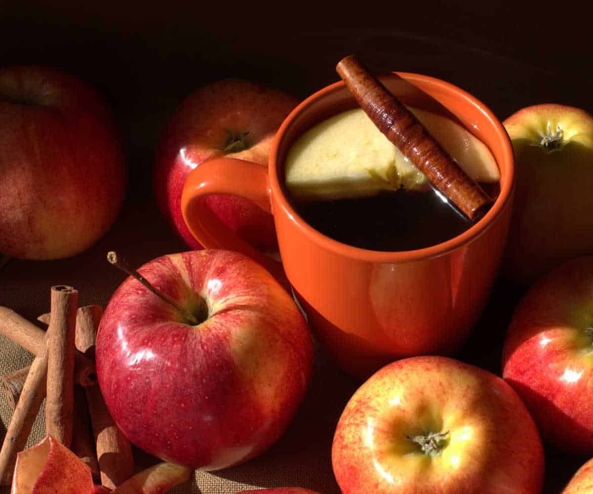 Easy Hot Apple Cinnamon Tea Recipe Steeped Street