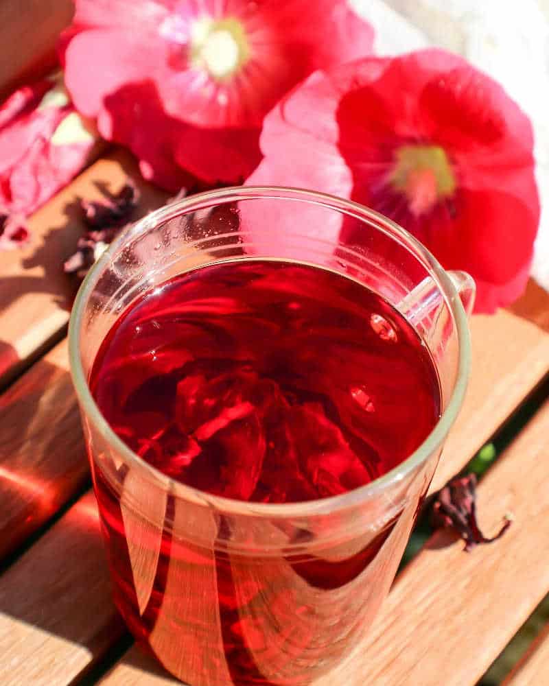 Hibiscus and Rose Hip Tea Recipe and Benefits Steeped Street