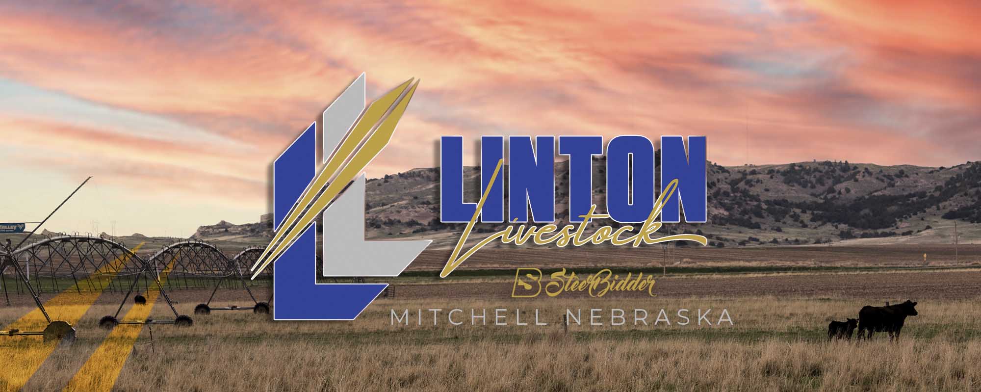 Lintonbutton2022 SteerBidder