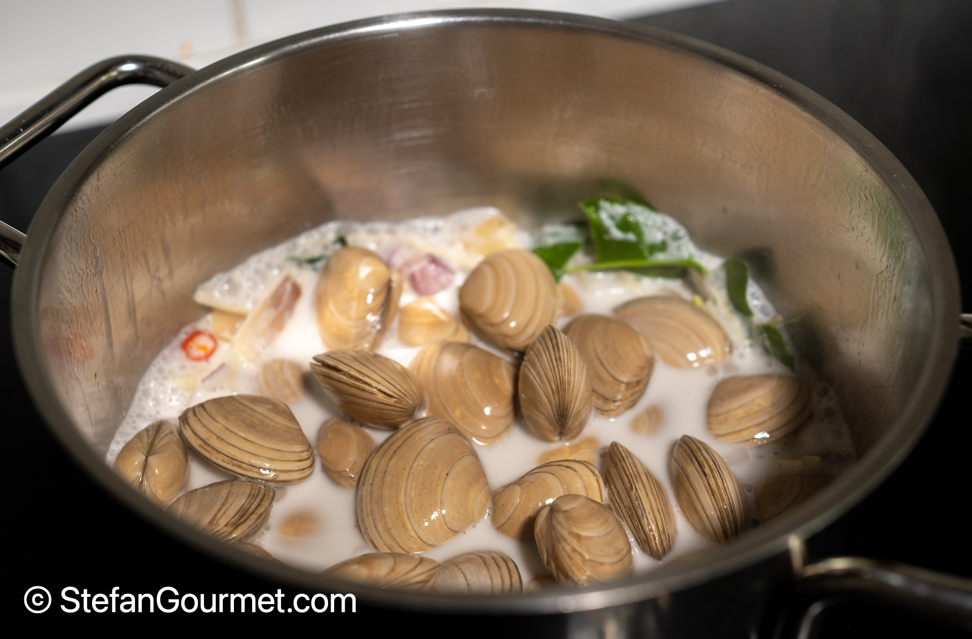 Thai Coconut Lemongrass Clams (hoi lai tom ka) Stefan's Gourmet Blog