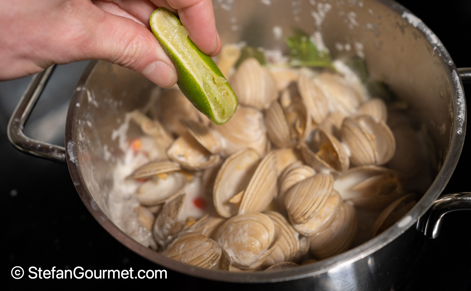 Thai Coconut Lemongrass Clams (hoi lai tom ka) Stefan's Gourmet Blog