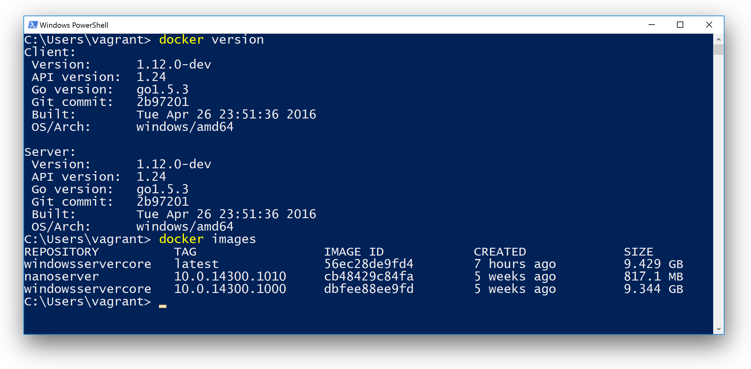 Setup a local Windows 2016 TP5 Docker VM