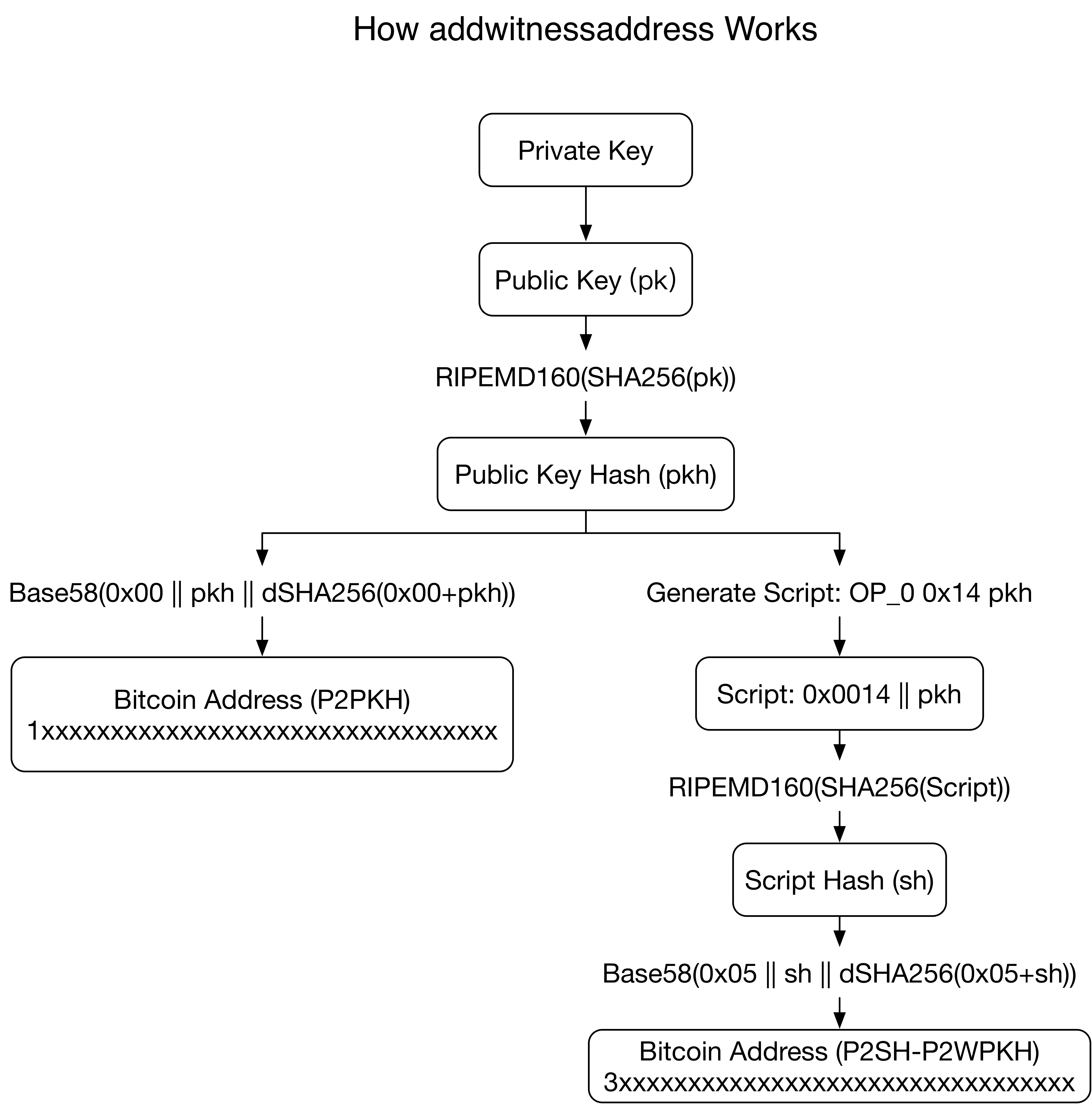 隔离见证：P2SH-P2WPKH – Another Bitcoin Lover