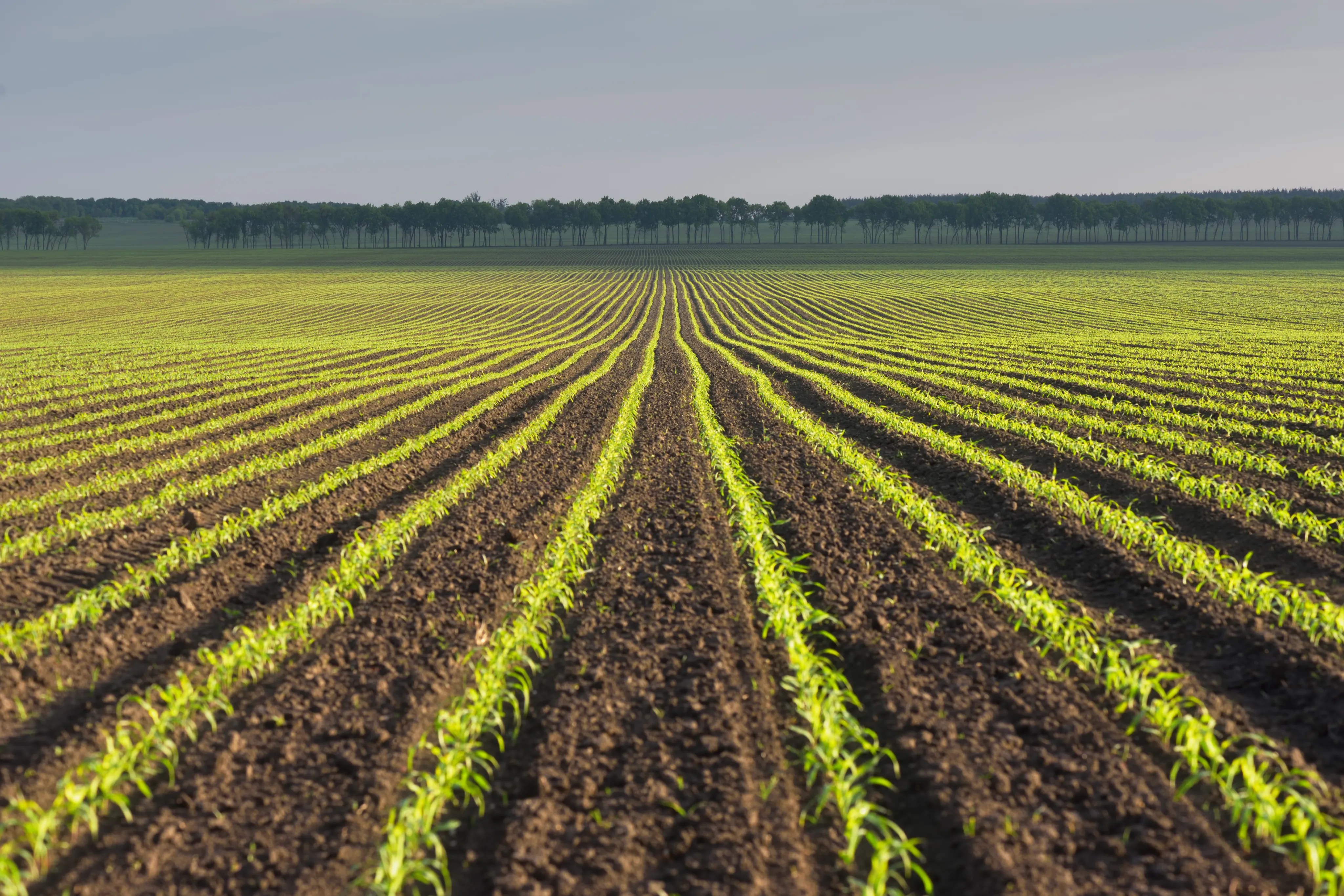 Land & Real Estate Auctions Steffes Group, Inc.