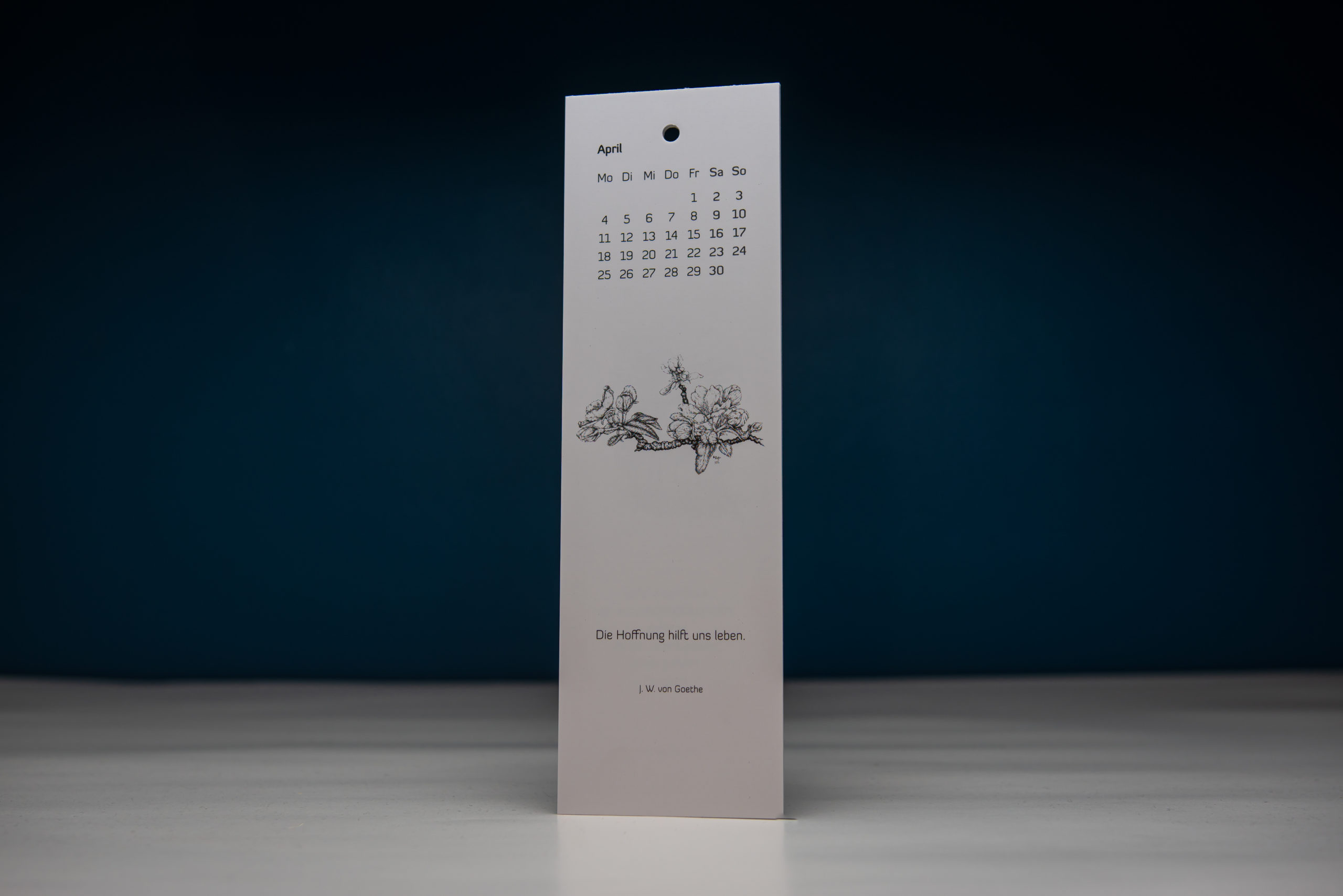 Lesezeichenkalender 2022 – Federzeichnungen Steffin