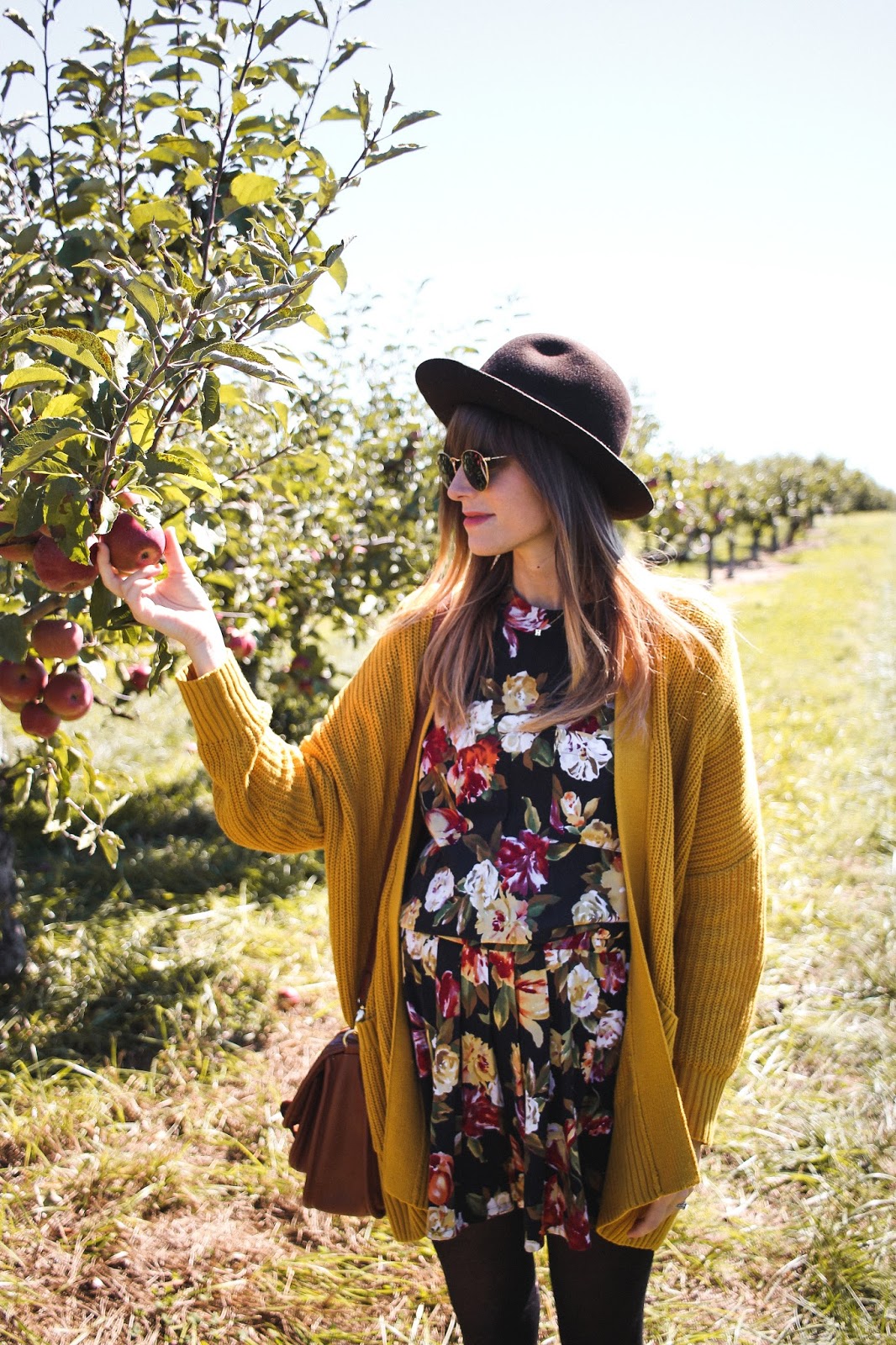 Apple Picking at Lewin Farms