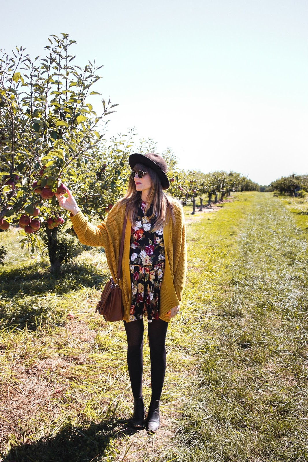 Apple Picking at Lewin Farms