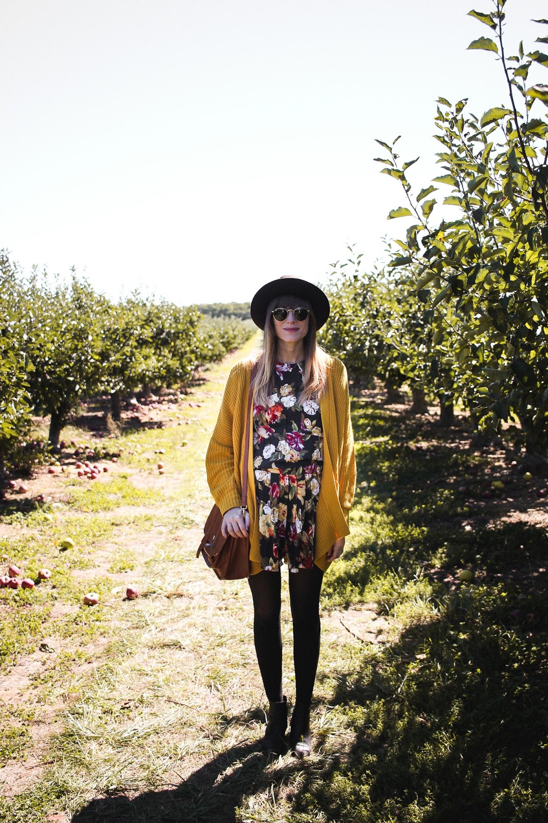 Apple Picking at Lewin Farms