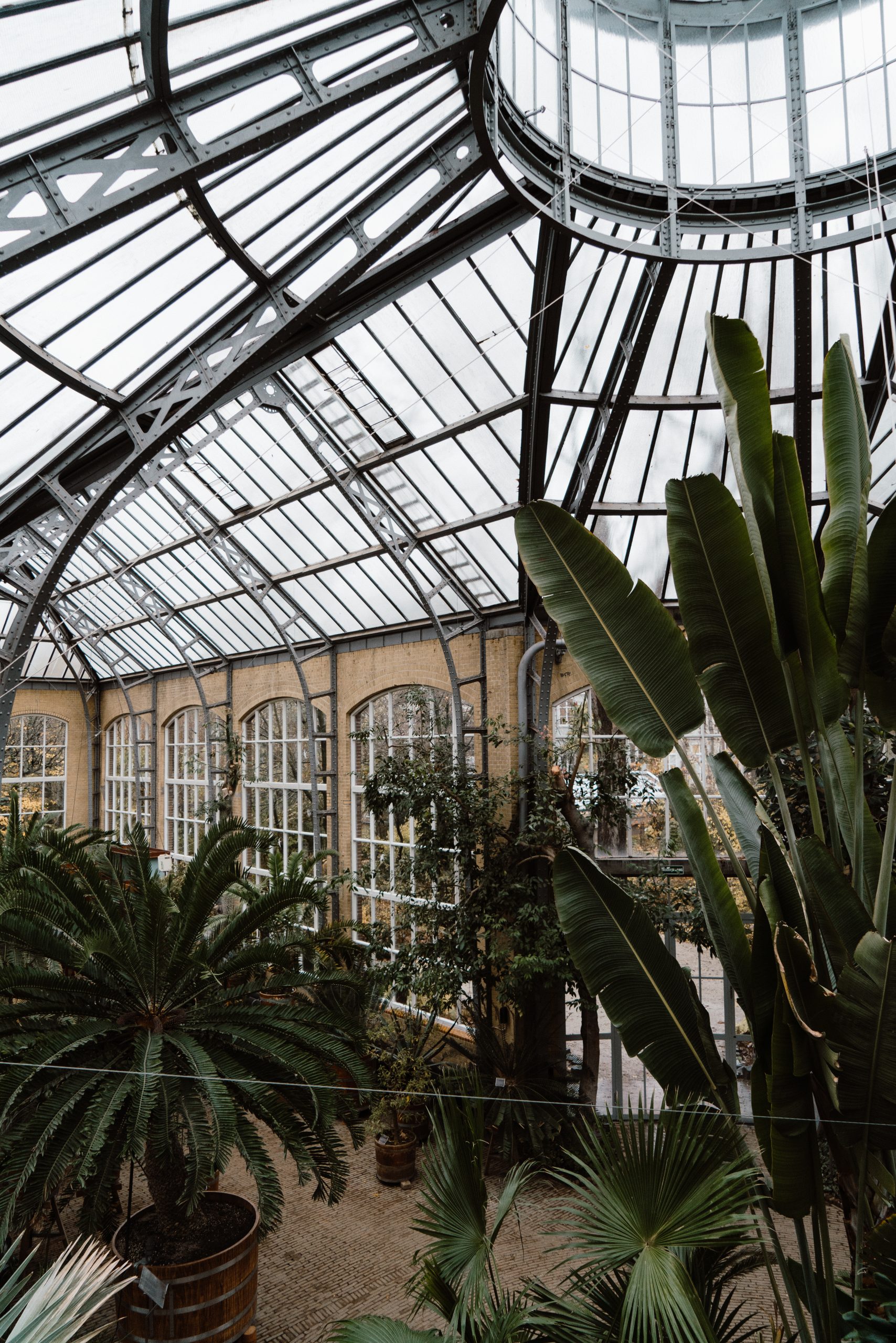 MY FAVORITE PLACE IN AMSTERDAM THE BOTANICAL GARDEN Stef Steffany