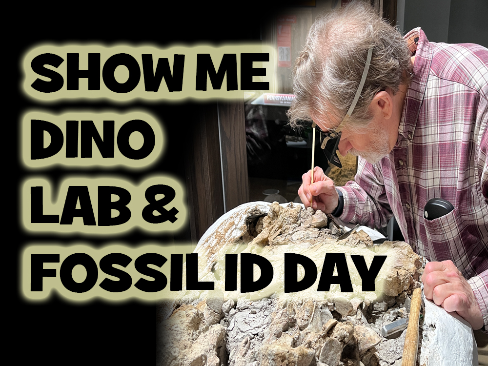January ShowMe Dino Lab & Fossil ID Day Ste. Genevieve Museum