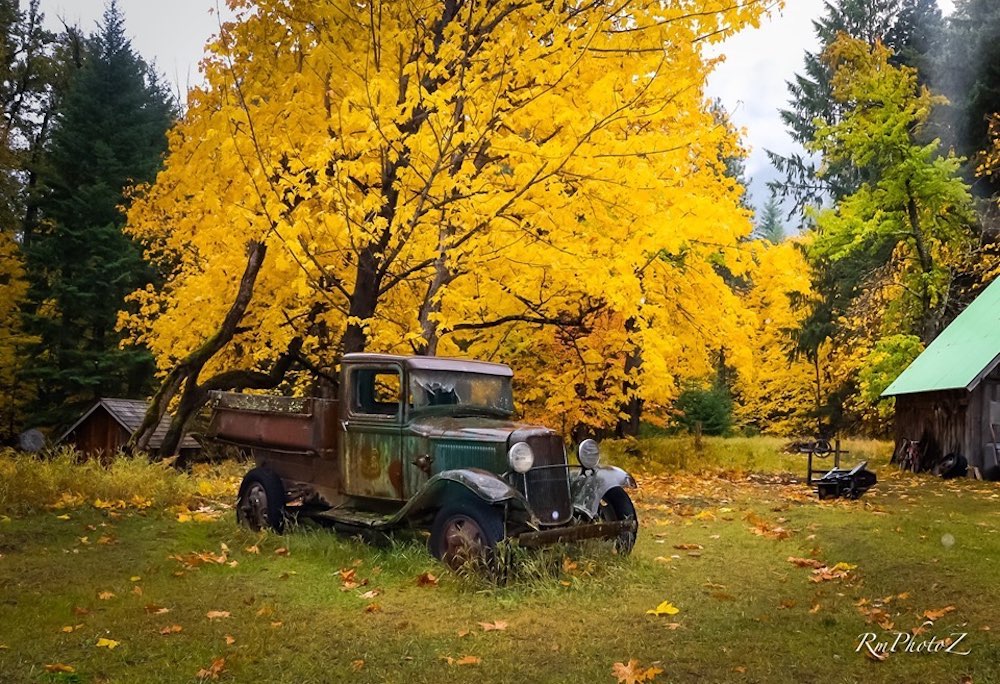 Gallery Stehekin Cedar Cabins