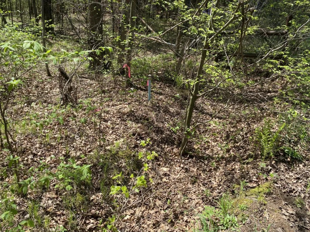 Meteor Timber 8263 SOLD! Steigerwaldt Land Services