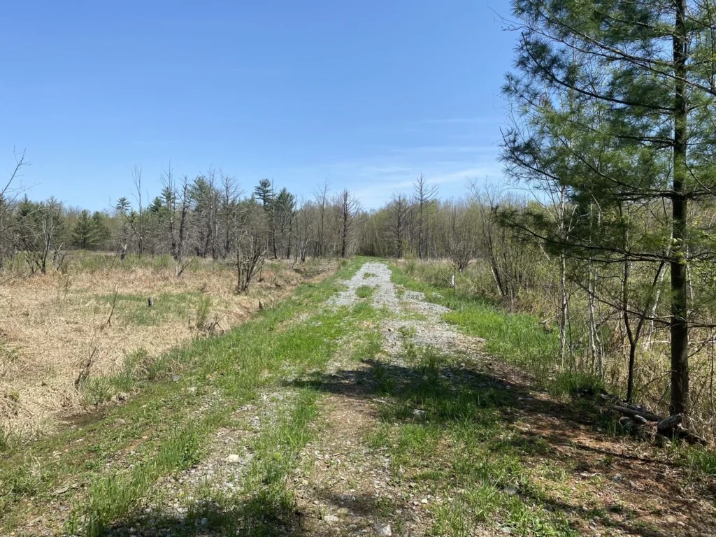 Meteor Timber 8263 SOLD! Steigerwaldt Land Services