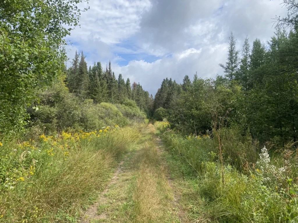 Argonne Steigerwaldt Land Services