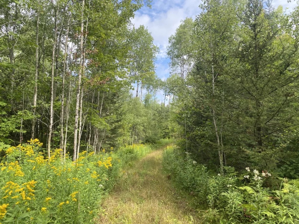 Argonne Steigerwaldt Land Services