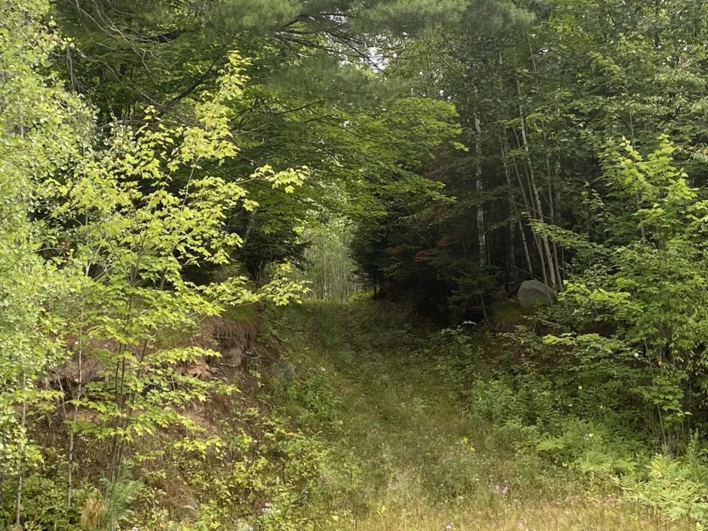 Argonne Steigerwaldt Land Services