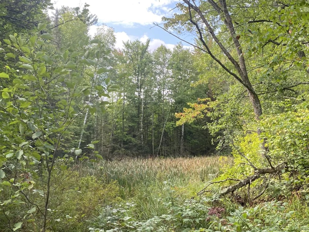 Argonne Steigerwaldt Land Services