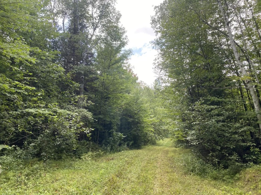 Argonne Steigerwaldt Land Services