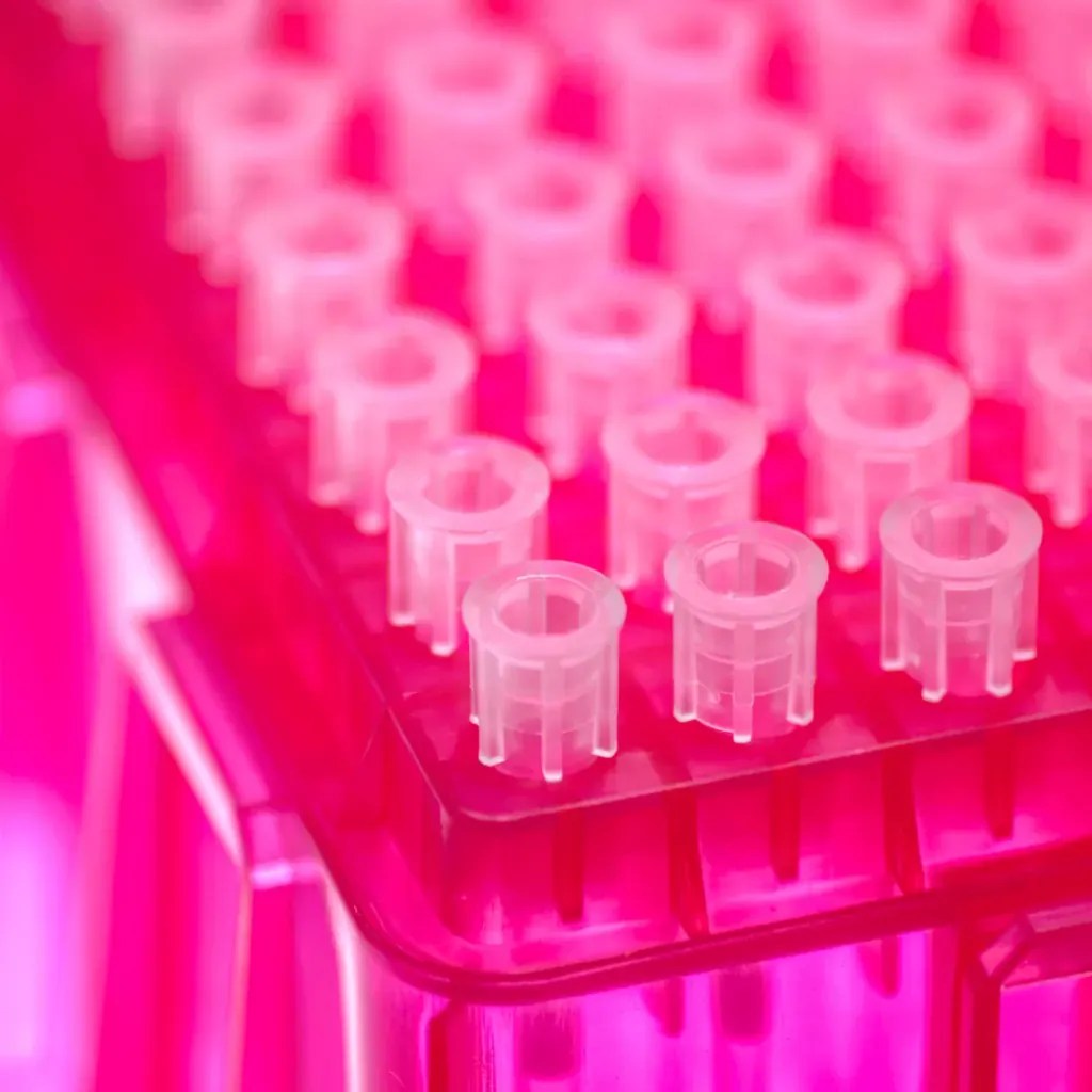 Filter Tips Steinbrenner Laborsysteme GmbH