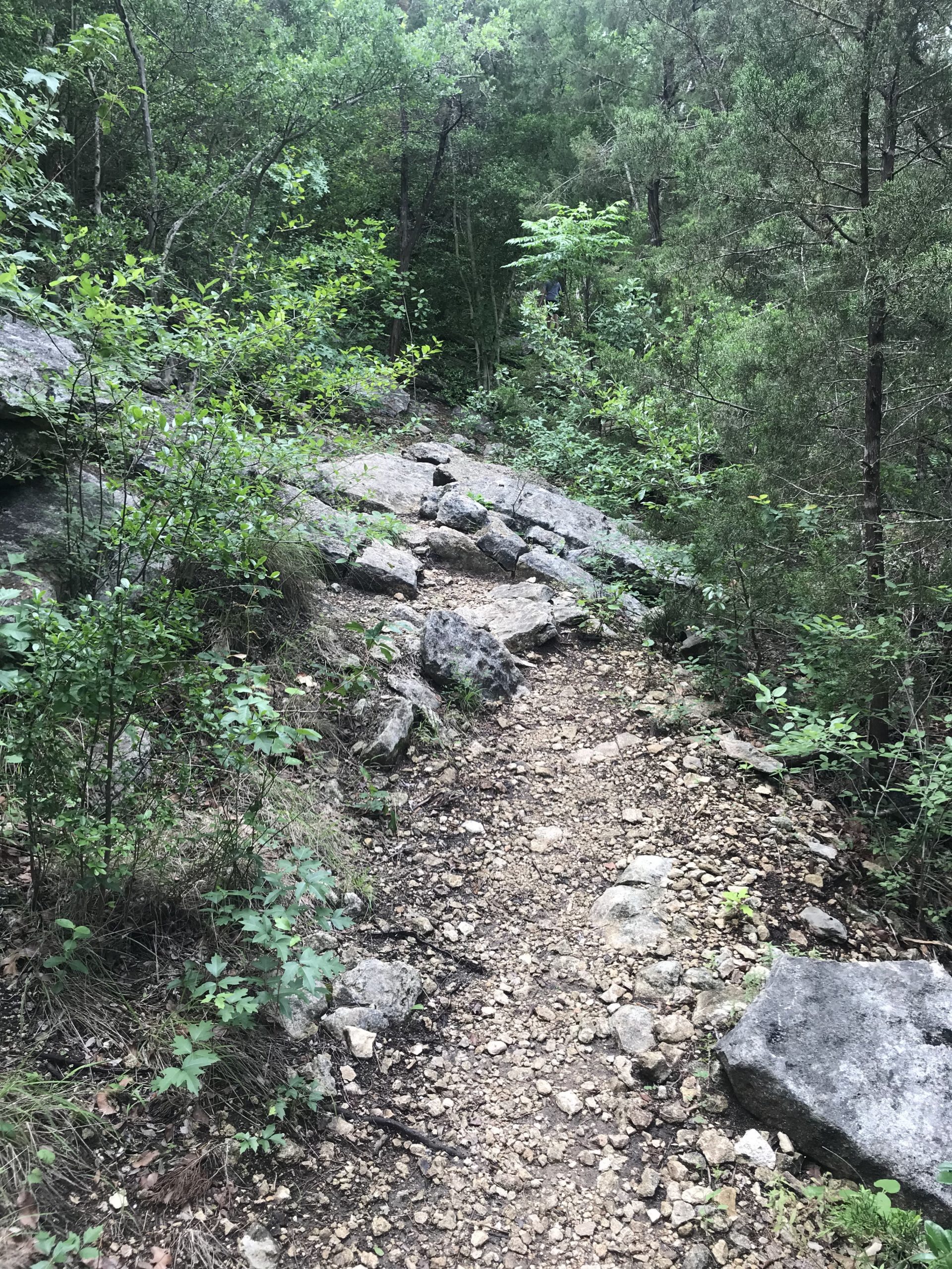 Steiner Ranch Trail Map Updated Elicia Michaud