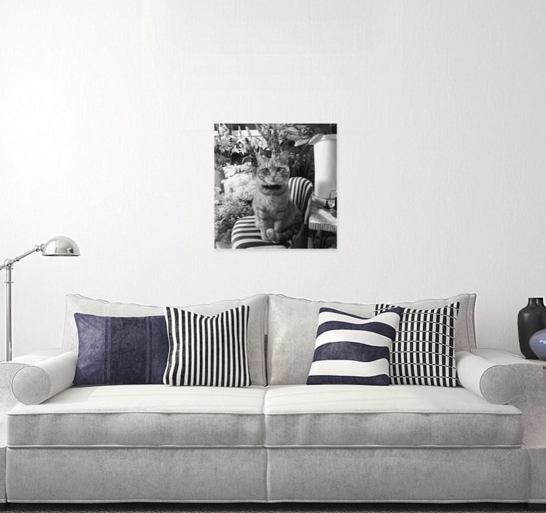 Nature Photography Wall Art STEINER