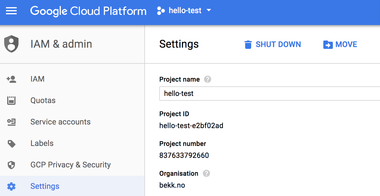 Basic infrastructure on Google Cloud Platform with Terraform