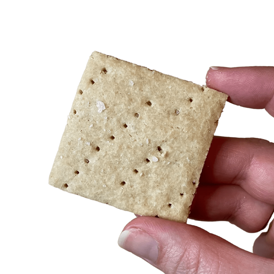 GrainFree Sea Salt Crackers Stellar Eats