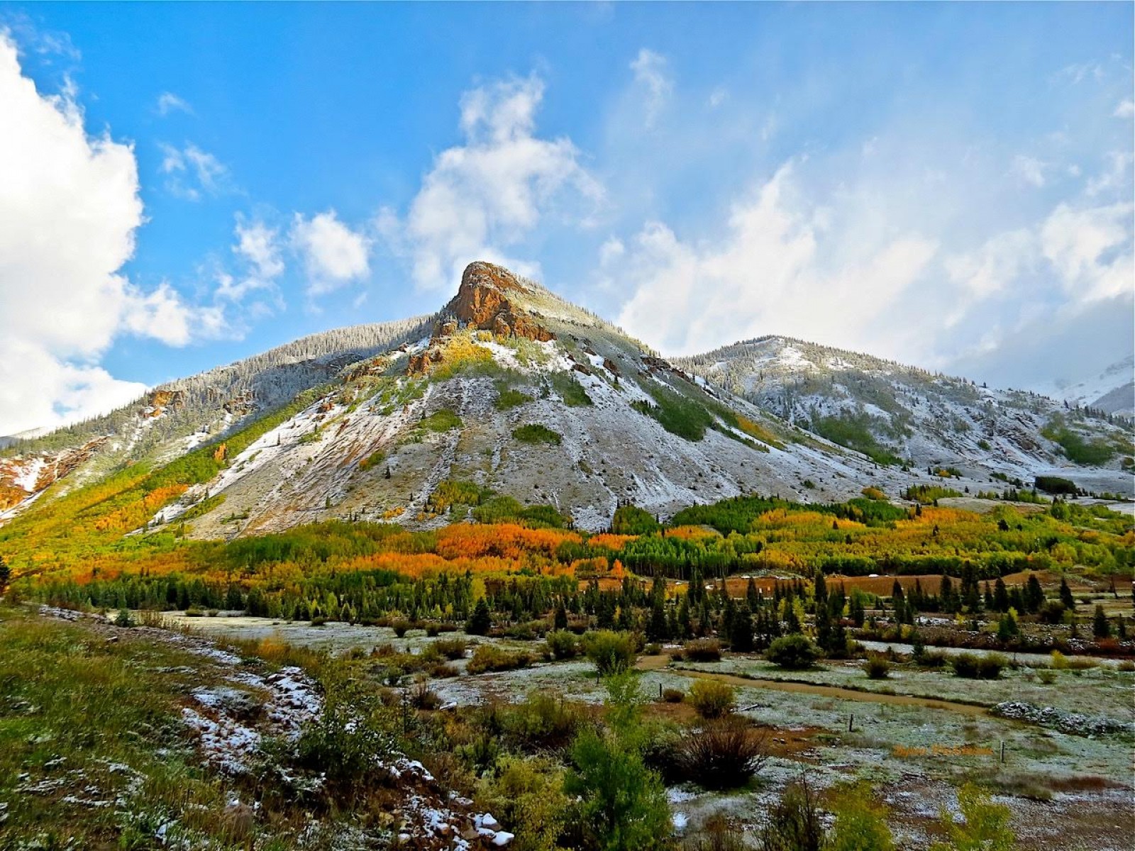 Stellar Mountain Properties Real Estate Services in Silverton, Colorado