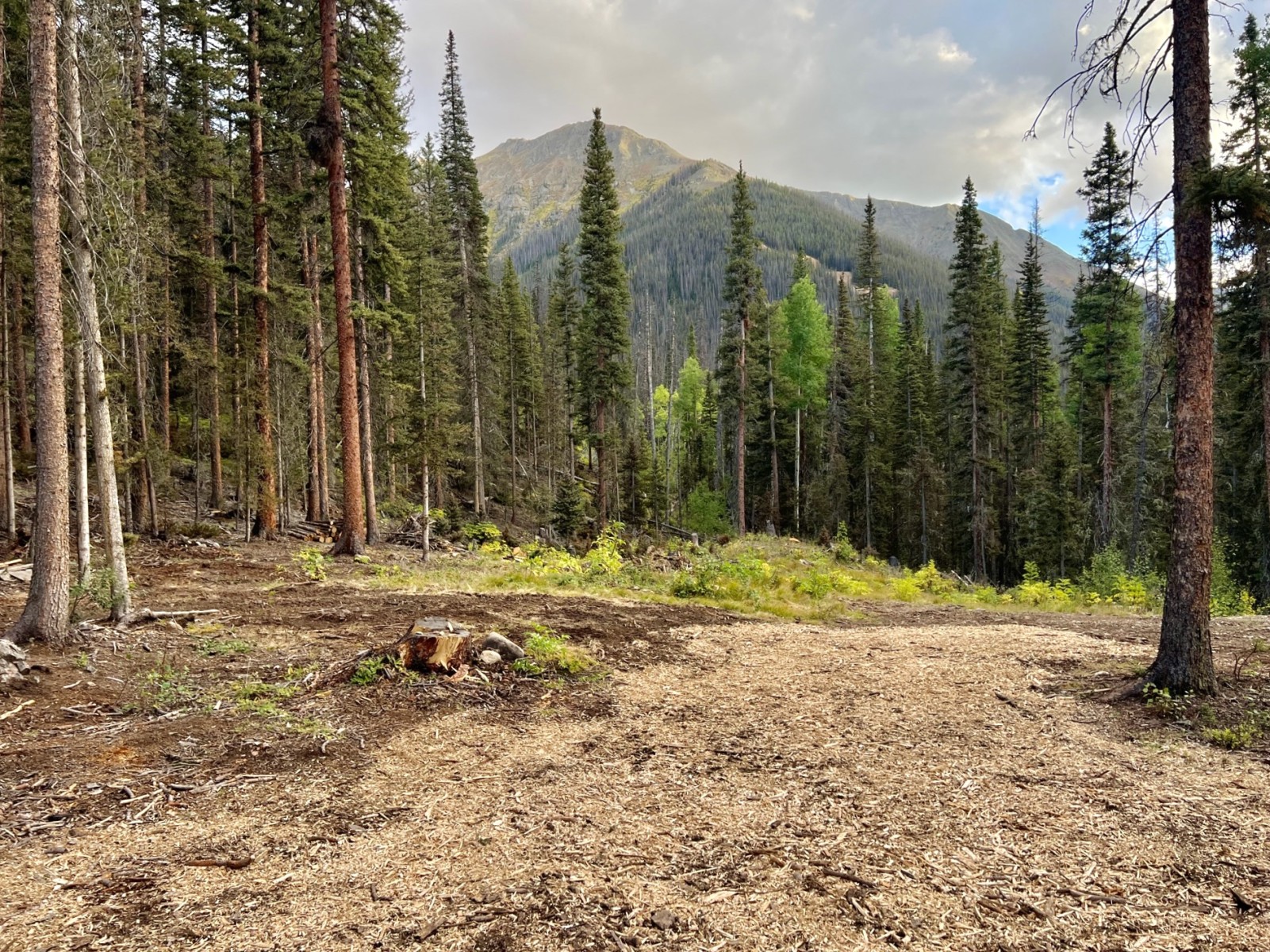 Stellar Mountain Properties Real Estate Services in Silverton, Colorado