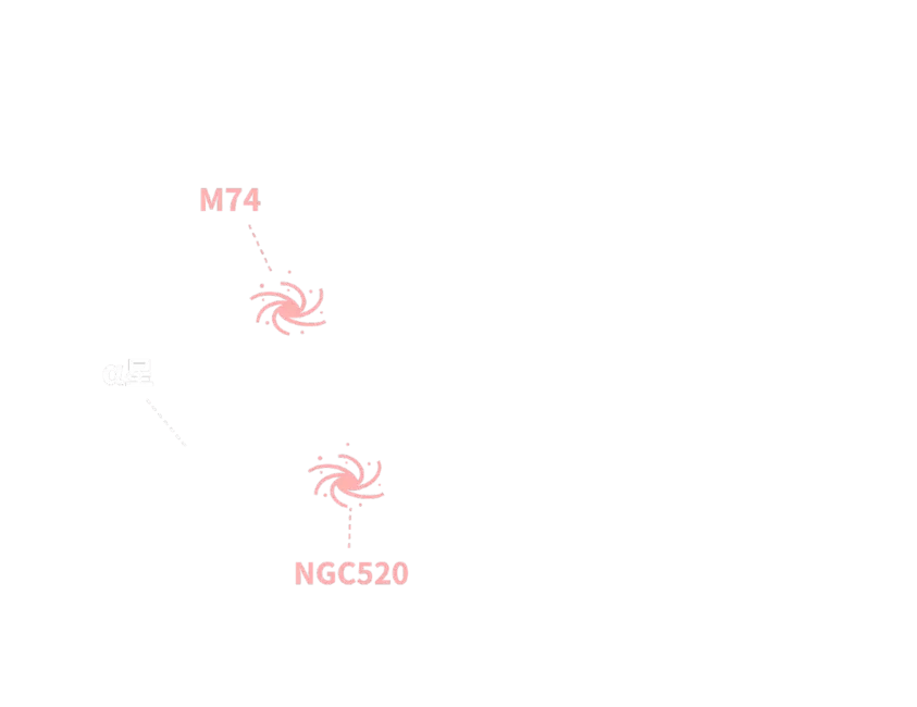 うお座。リボンで結ばれた親子の魚 ステラルーム
