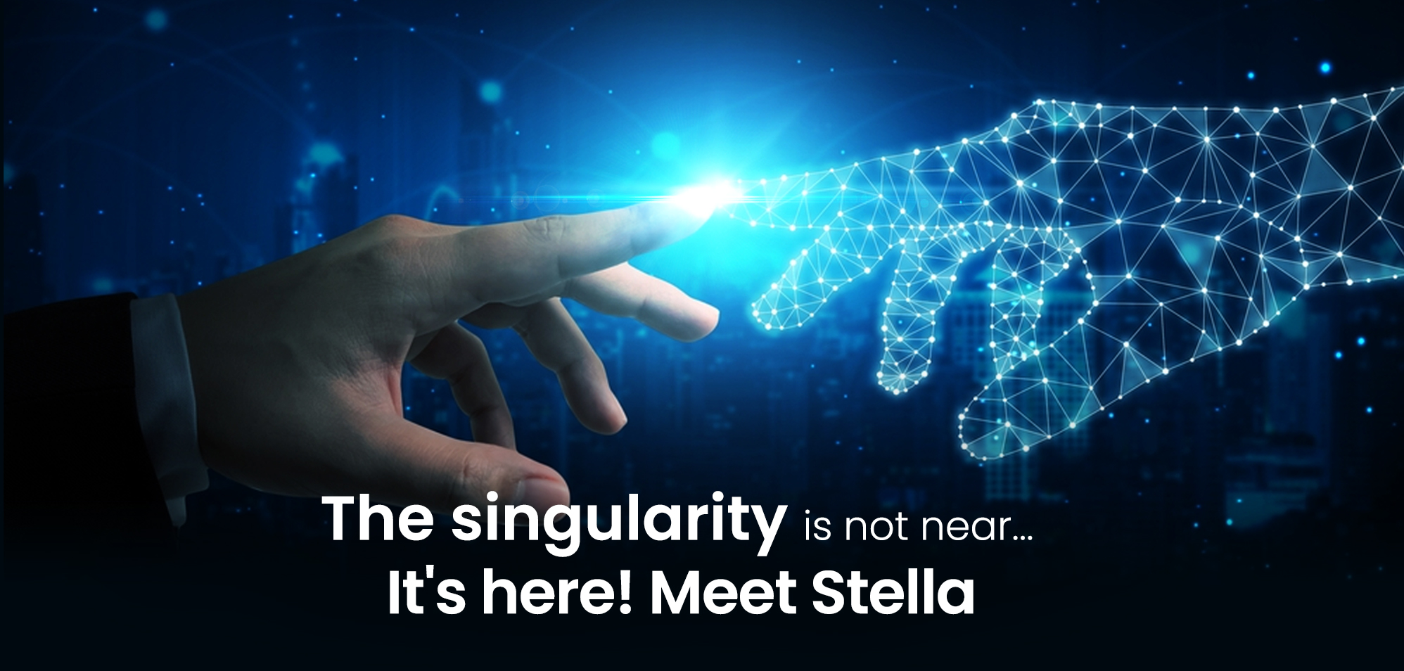 Stella Development Services