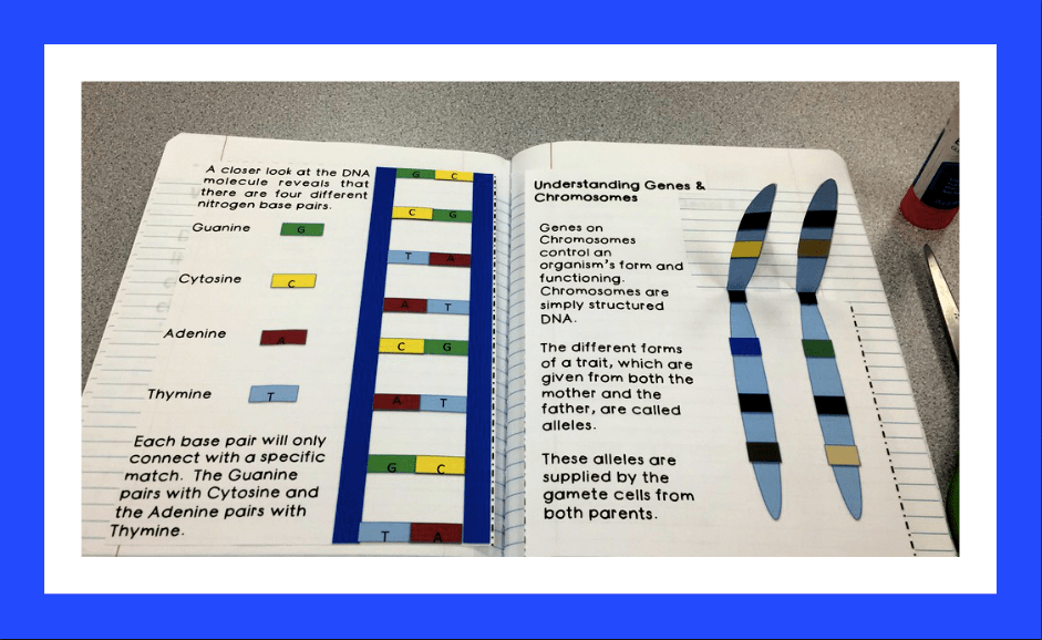 Interactive Notebook The STEM Center