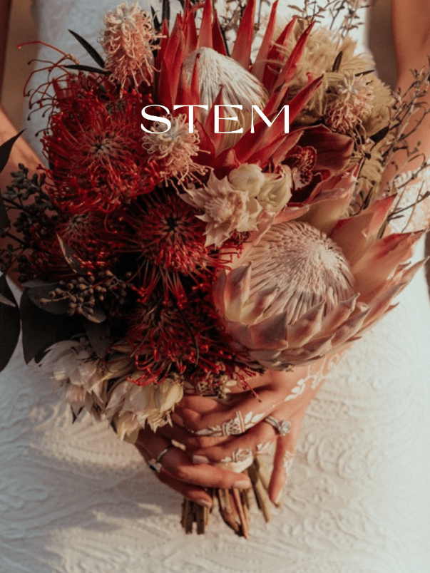 Native Flower Delivery Brisbane STEM DESIGN Brisbane Florist