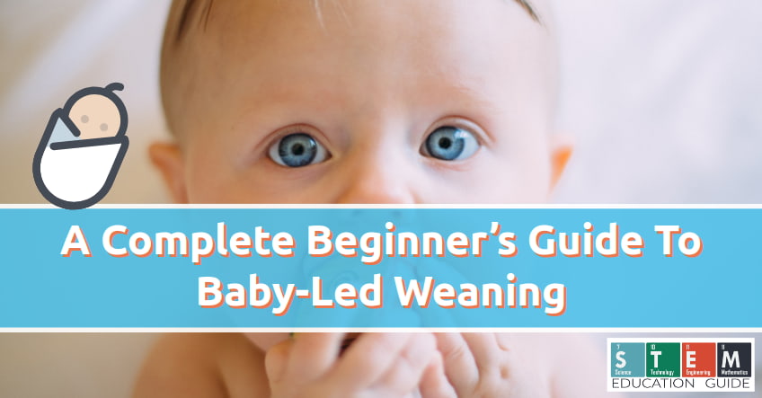 A Complete Beginner’s Guide To Baby-Led Weaning - STEM Education Guide