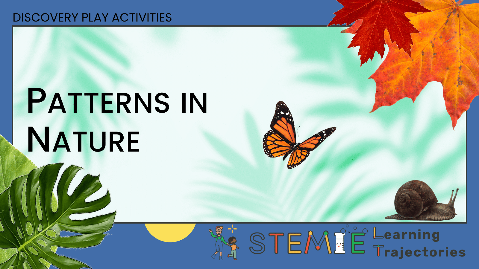 Discovery Play Activities with Your Young Child: Patterns in Nature