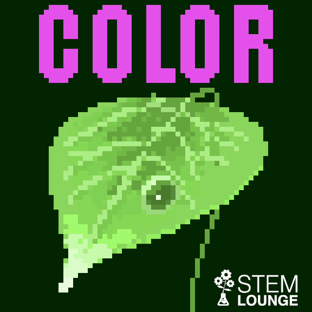 Why Objects have Colors Illustration Animation