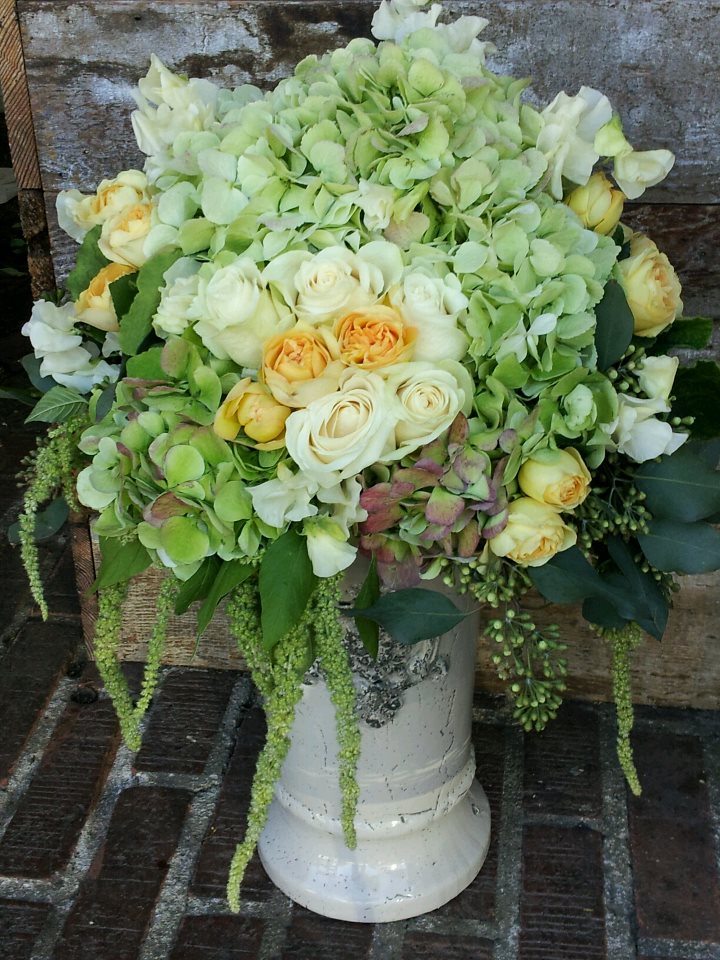 Gallery » Everyday « Stems By Kate