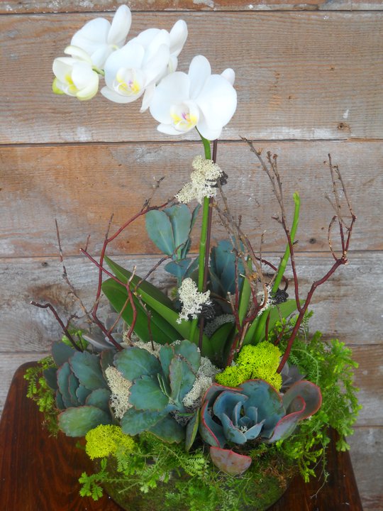 Gallery » Everyday « Stems By Kate