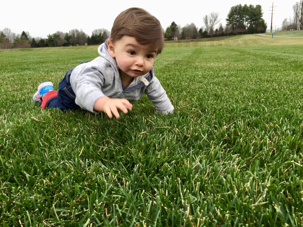 7 Benefits of Crawling STEM Starts Now