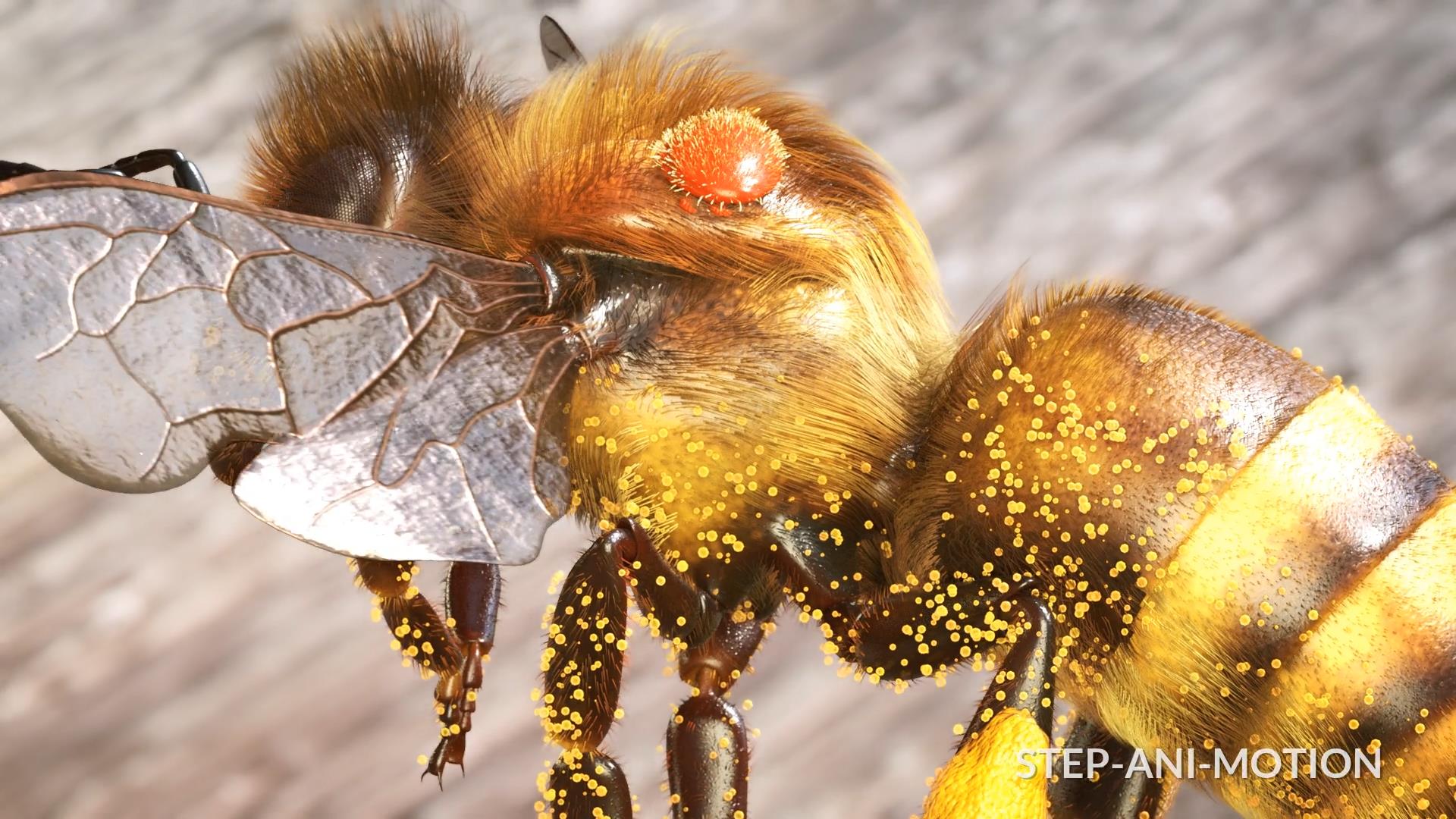 Bayer — Varroamilbe, der Feind im Bienenstock