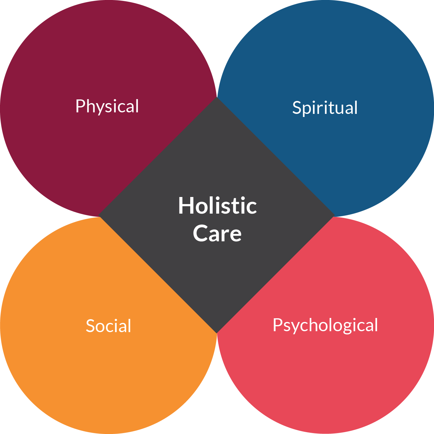 holistic HOLISTIC APPROACH & HEALTH PROGRAM stories highlights, photos