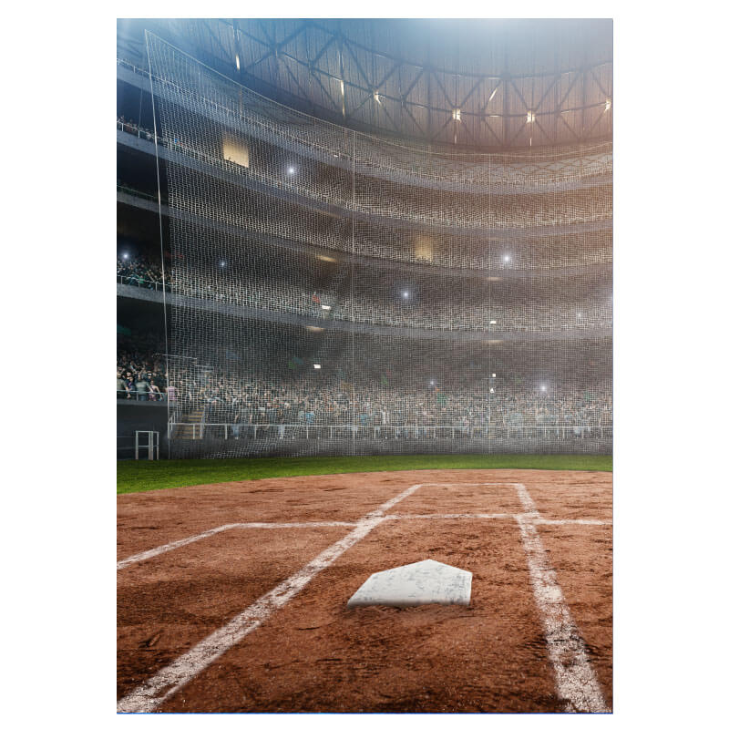 Baseball Party Backdrop from Step and Repeat LA