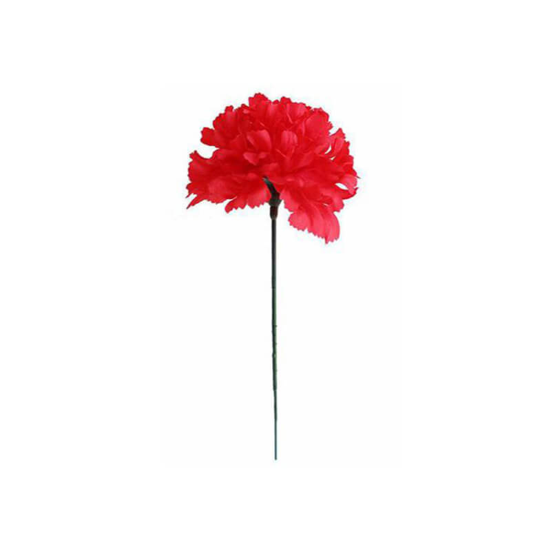 Beautiful Silk Carnation Flowers / Rental Step and Repeat LA